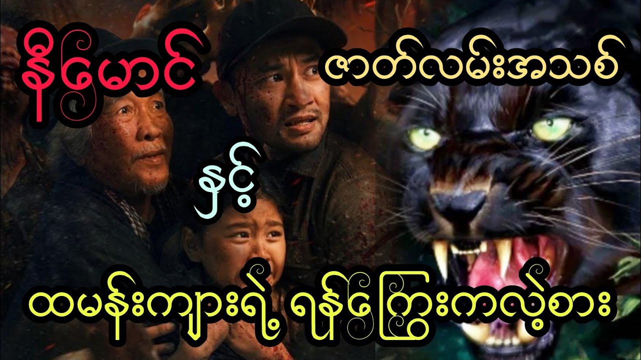 နီမောင် နှင့် ထမန်းကျားရဲ့ ရန်ကြွေးကလဲ့စား (အစအဆုံး)