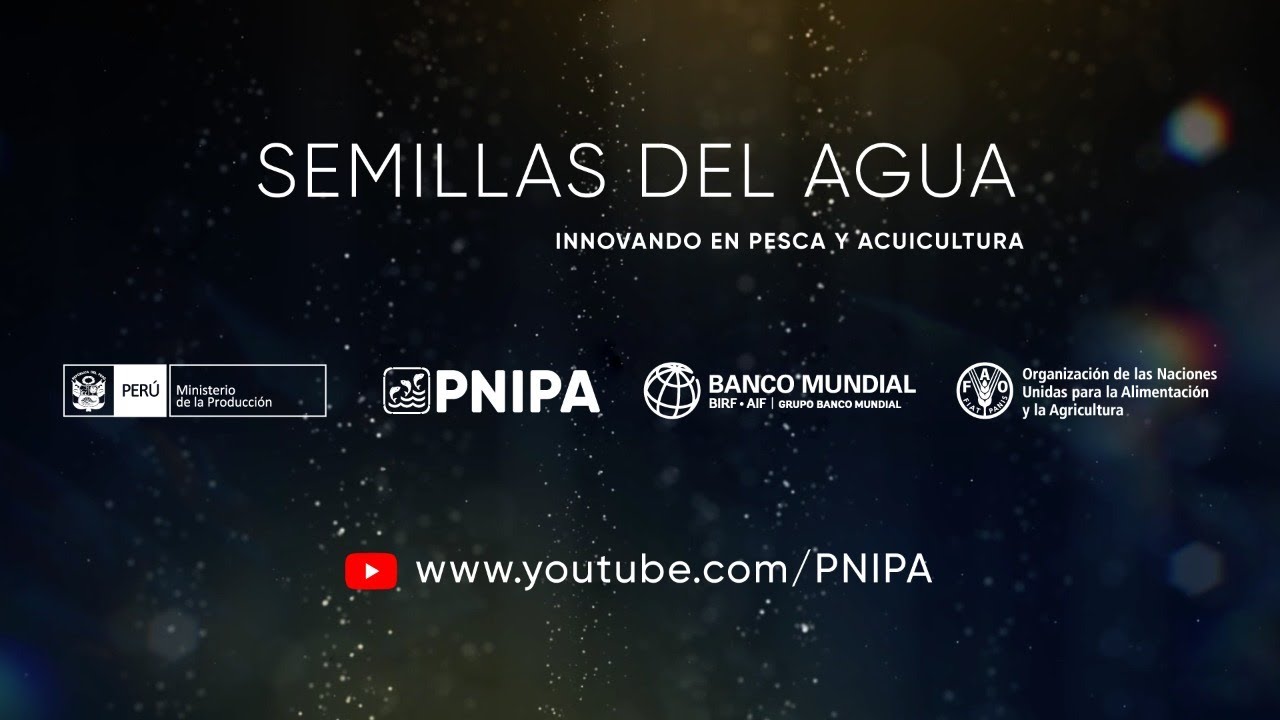 Semillas del #Agua - #Macroalgas. Serie producida por #PNIPA con apoyo del Banco Mundial y la FAO.