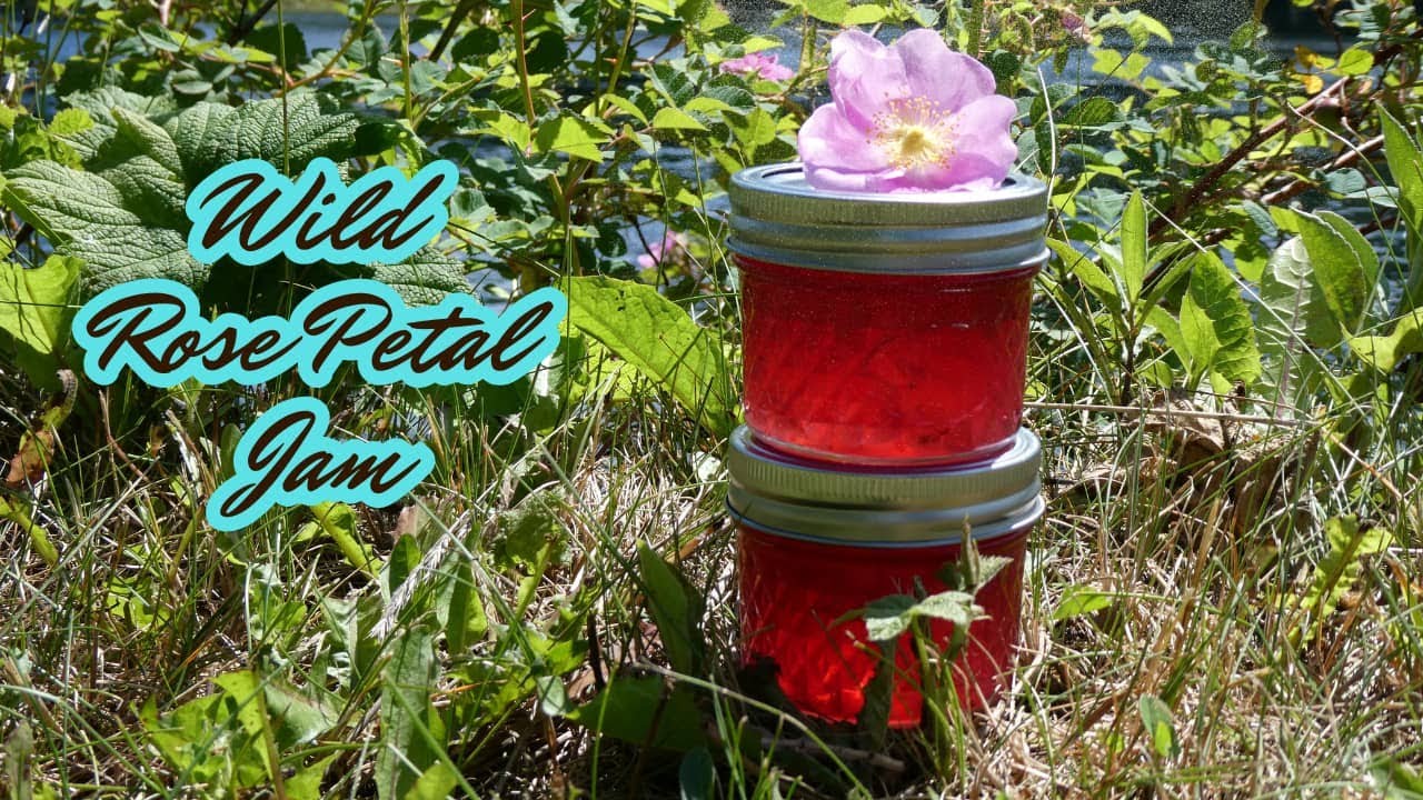 Wild Rose Petal Jam