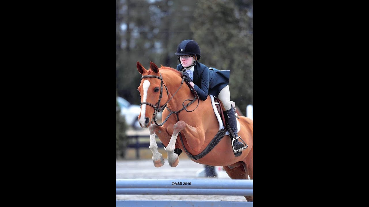 Road to Pony Finals 2019