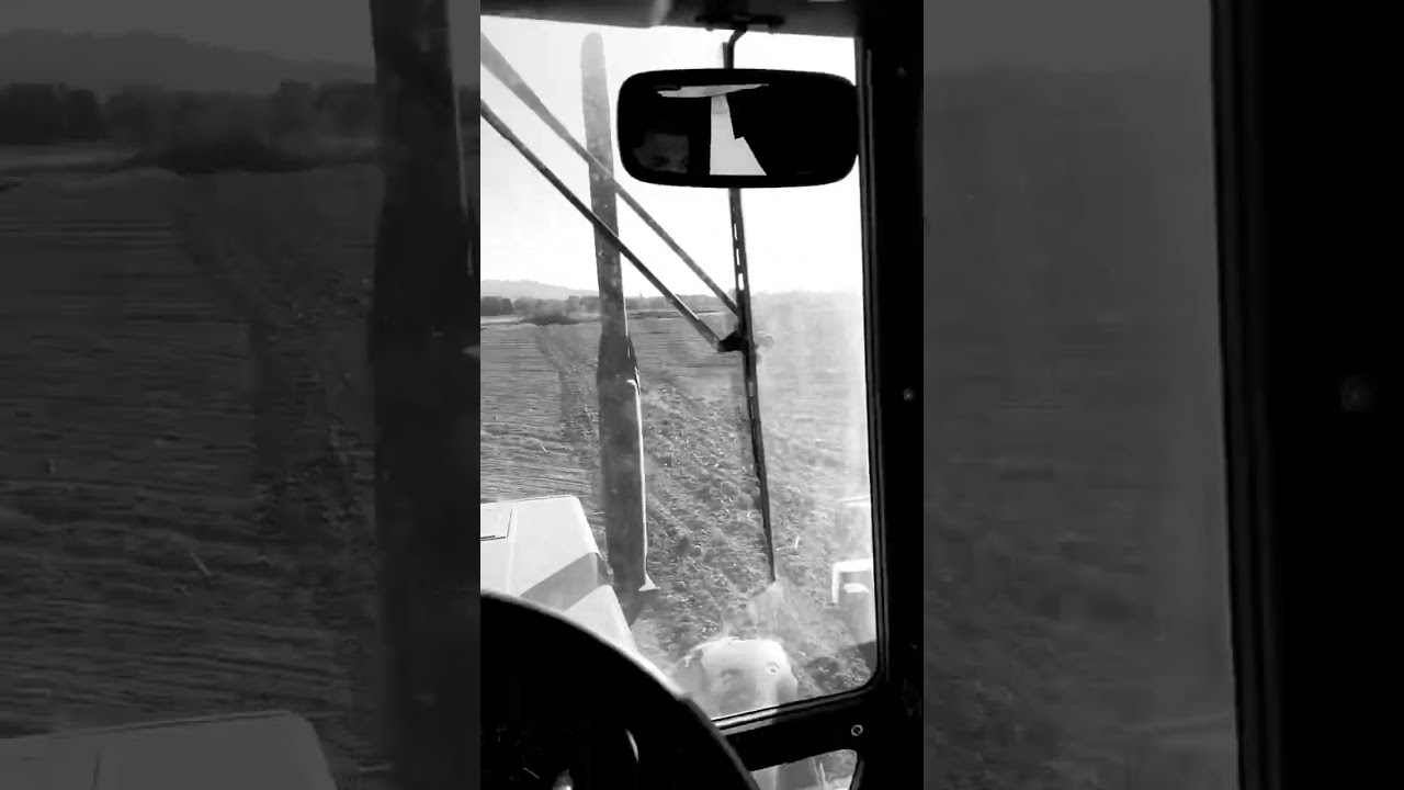 First time driving MTZ - МТЗ