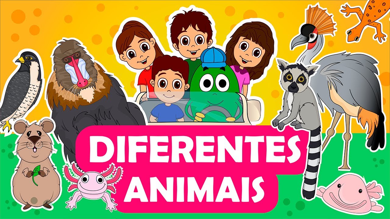 Os Oliveirinhas - Diferentes Animais #18