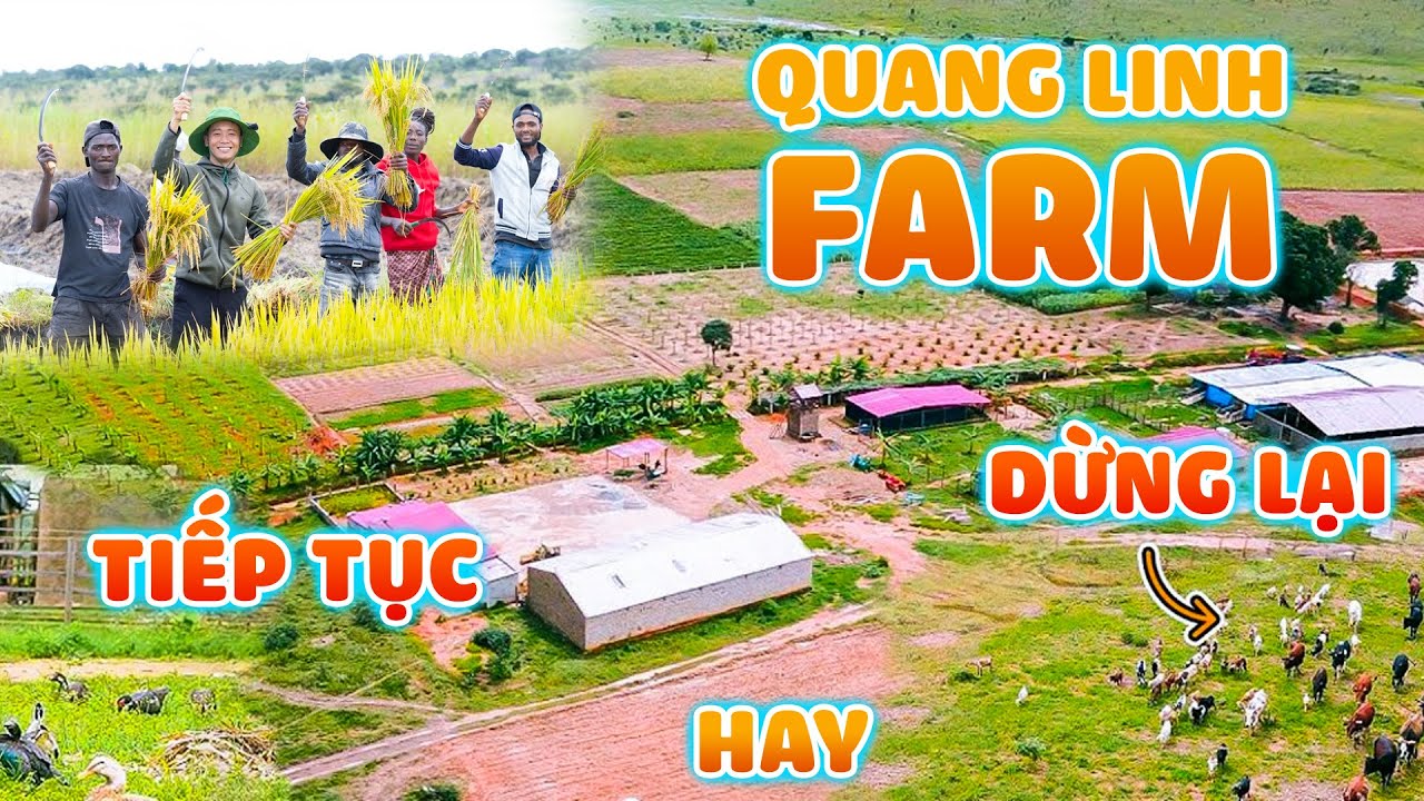Quanglinhvlogs || Quang Linh Farm 