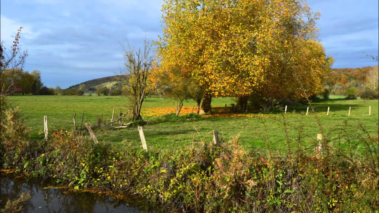 Messe de Saint-Jean        Kyrie  -  Gloria  -  Alleluia