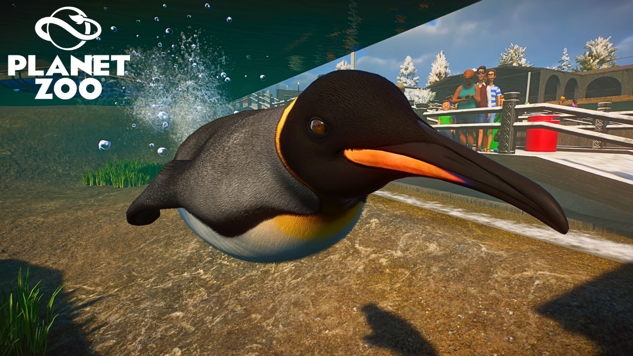 Making a Penguin Village with Underwater Viewing