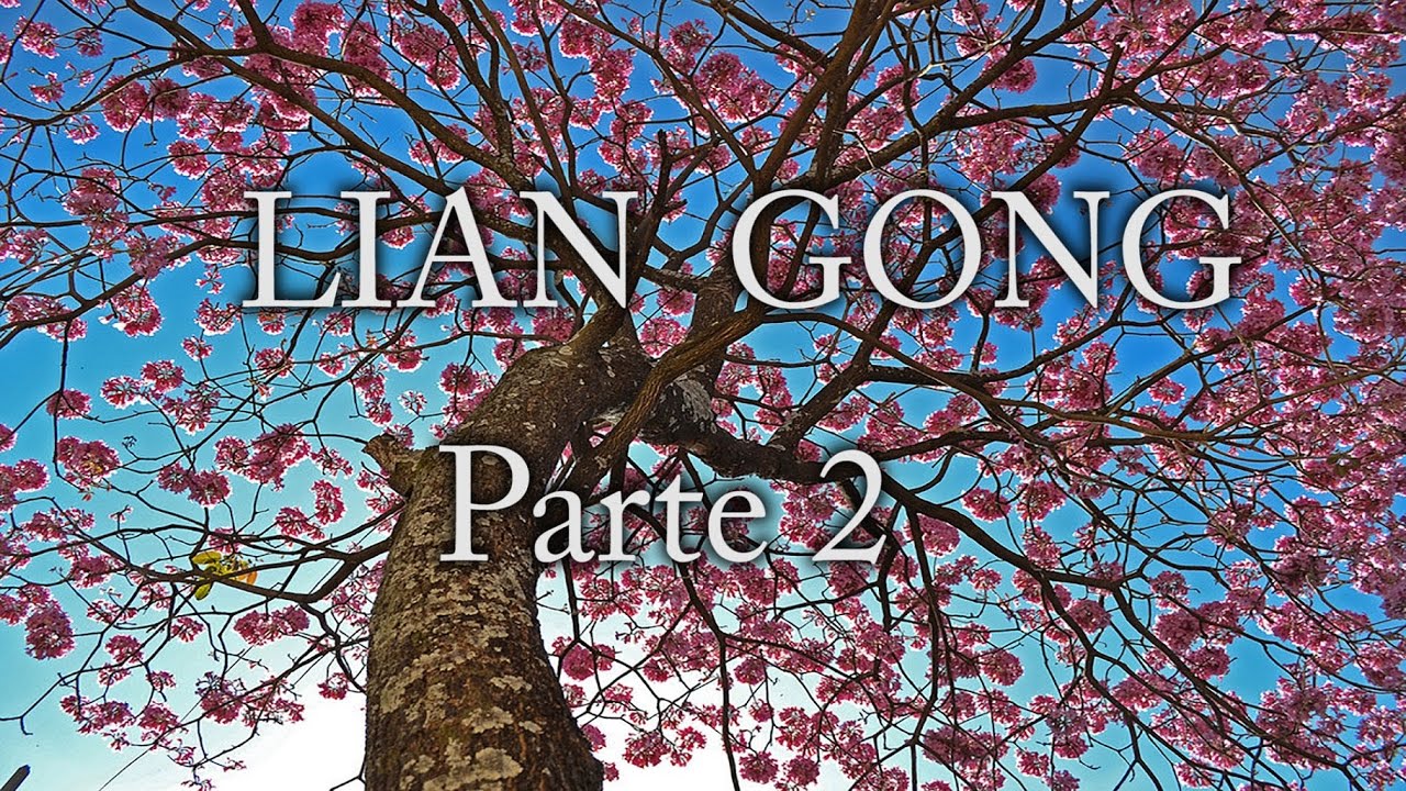 LIAN GONG PARTE 2