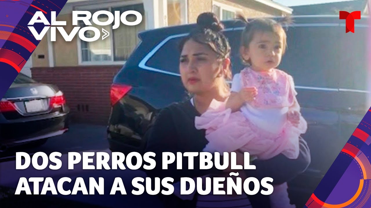Dos perros pitbull atacan a sus propios dueños y dejan malherida a una bebé