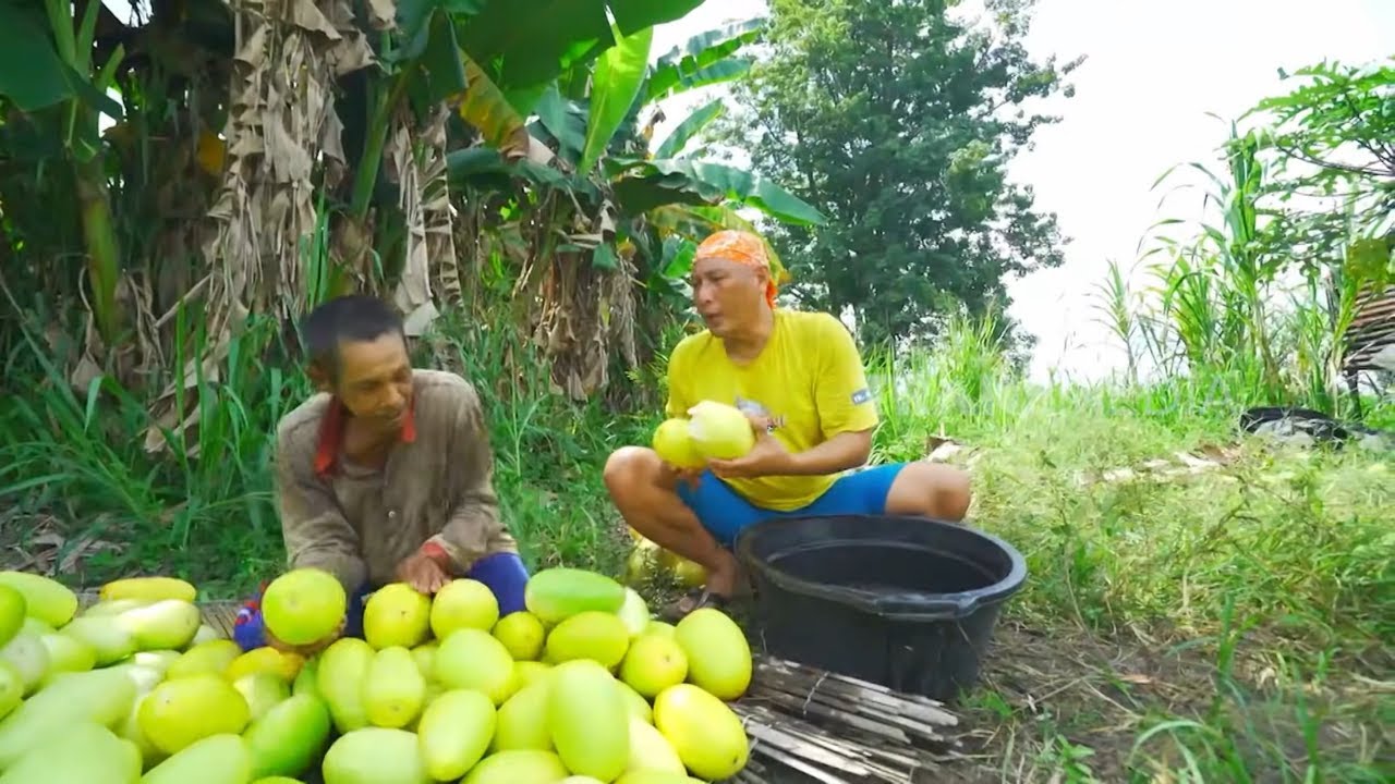 Burgo Timun Suri | JEJAK SI GUNDUL (24/02/26)