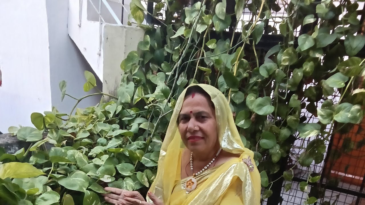 गणेश जी का भजन गोरी के लाल पहले थाने मनावा जी