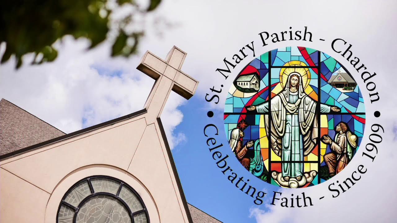 St. Mary Parish Sunday Mass - 8:00 AM February 1, 2026