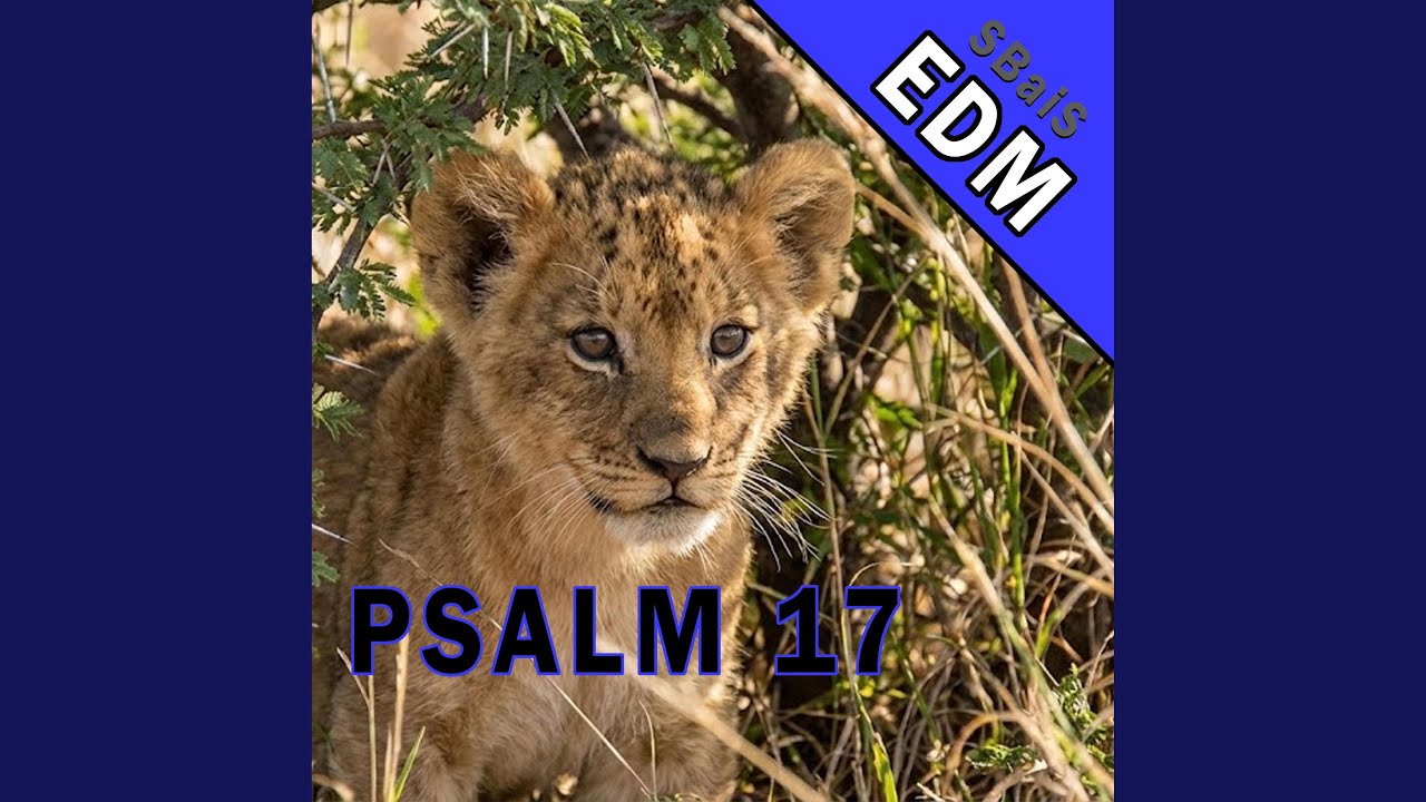Psalm 17 (EDM)