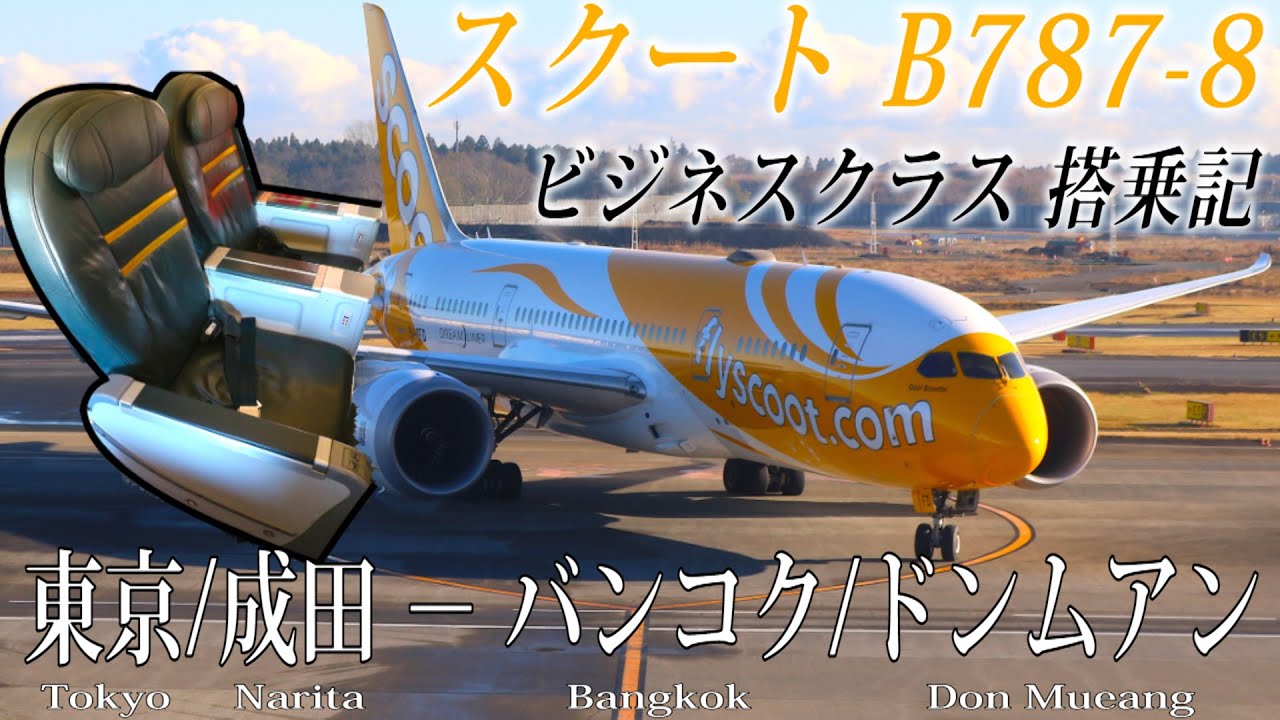 スクート🇸🇬 B787-8 スクートPlus(ビジネスクラス)搭乗記 東京/成田&minus;バンコク/ドンムアン