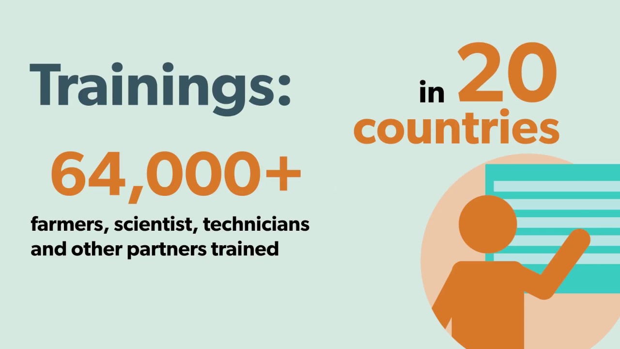 CIMMYT Annual report 2016: maize and wheat for future climates