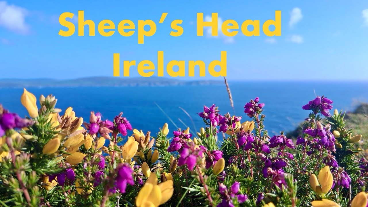 Sheep’s Head. Ирландия 2025