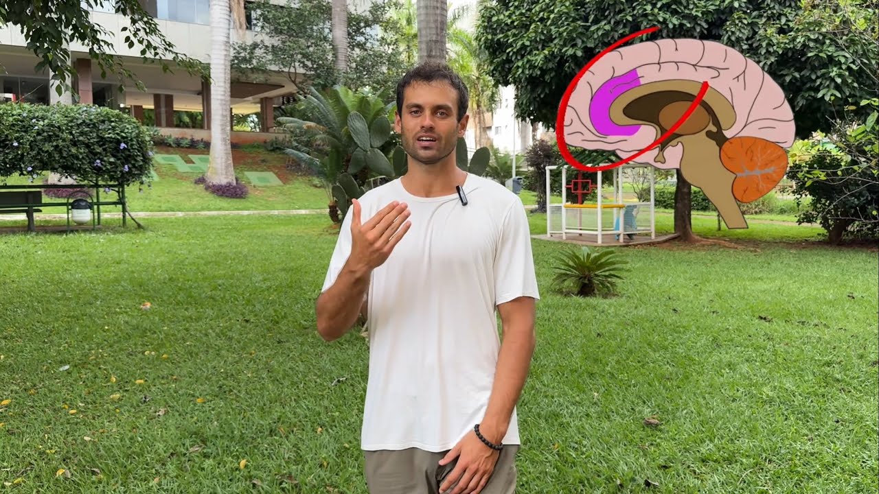 FOR&Ccedil;A DE VONTADE &Eacute; BALELA (COMO SE MOTIVAR DE VERDADE C/ NEUROCI&Ecirc;NCIA)
