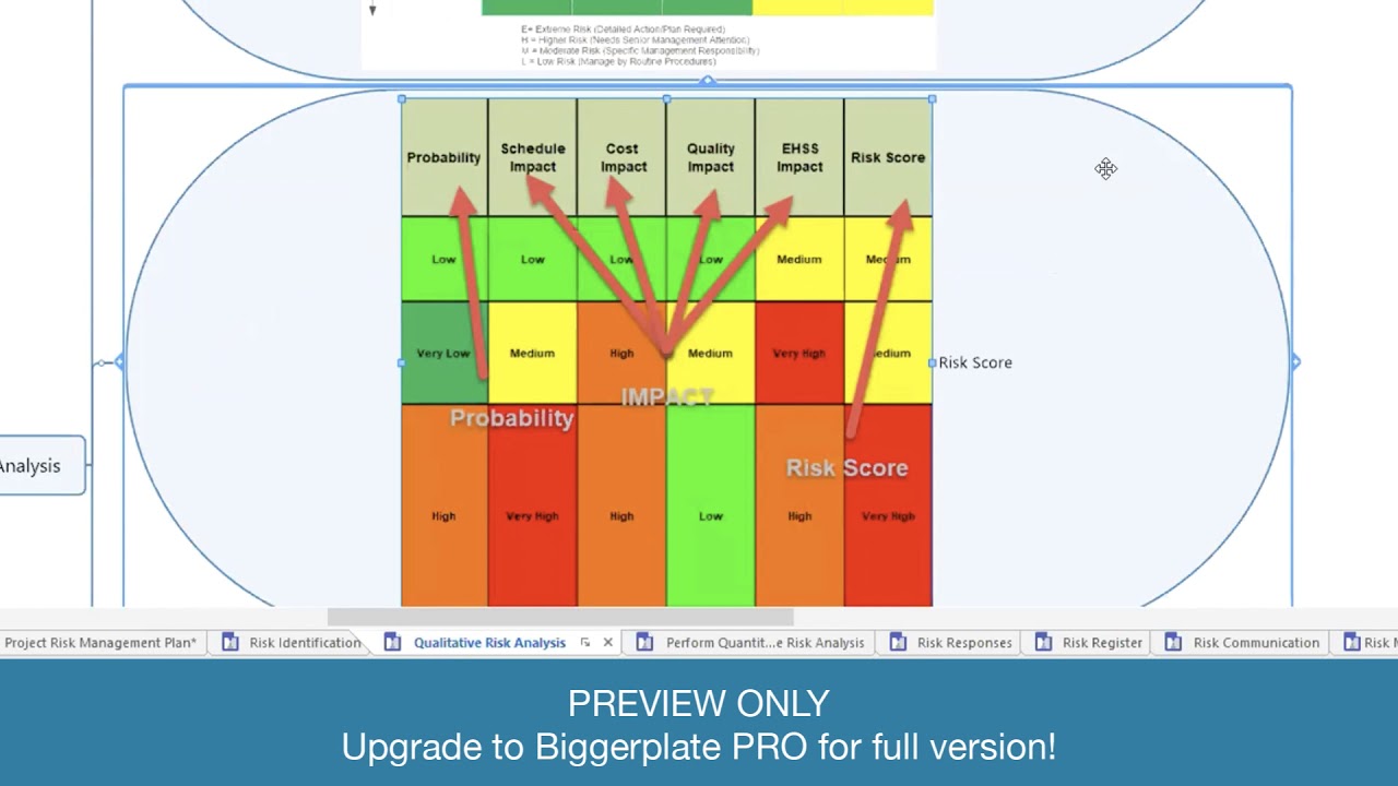 PREVIEW Risk Management with Mind Maps