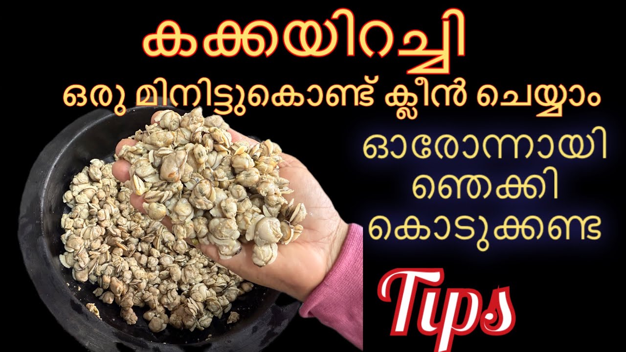 ഈ സൂത്രം ചെയ്താൽ മതി ഒരു മിനിറ്റ് കൊണ്ട് കക്കയിറച്ചി ക്ലീൻ ചെയ്യാം | Simple Method | Clam Meat |Tips