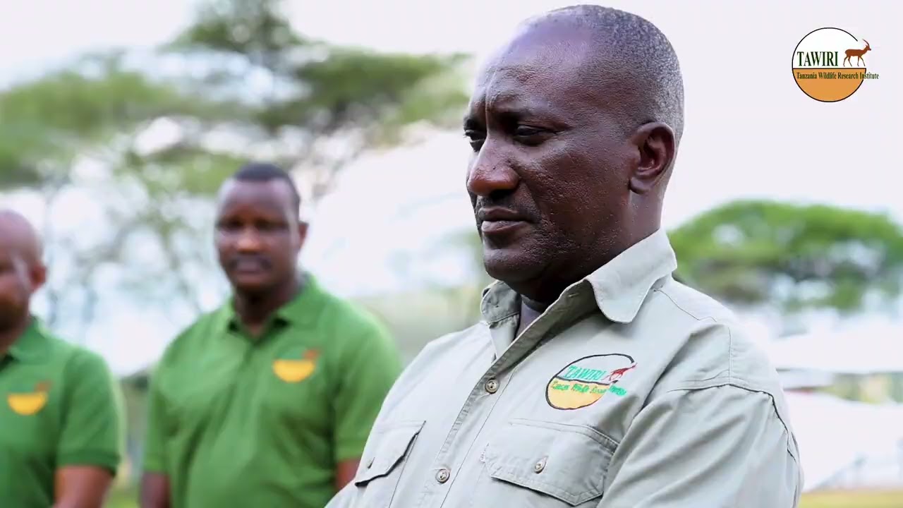 SENSA YA WANYAMAPORI - SERENGETI