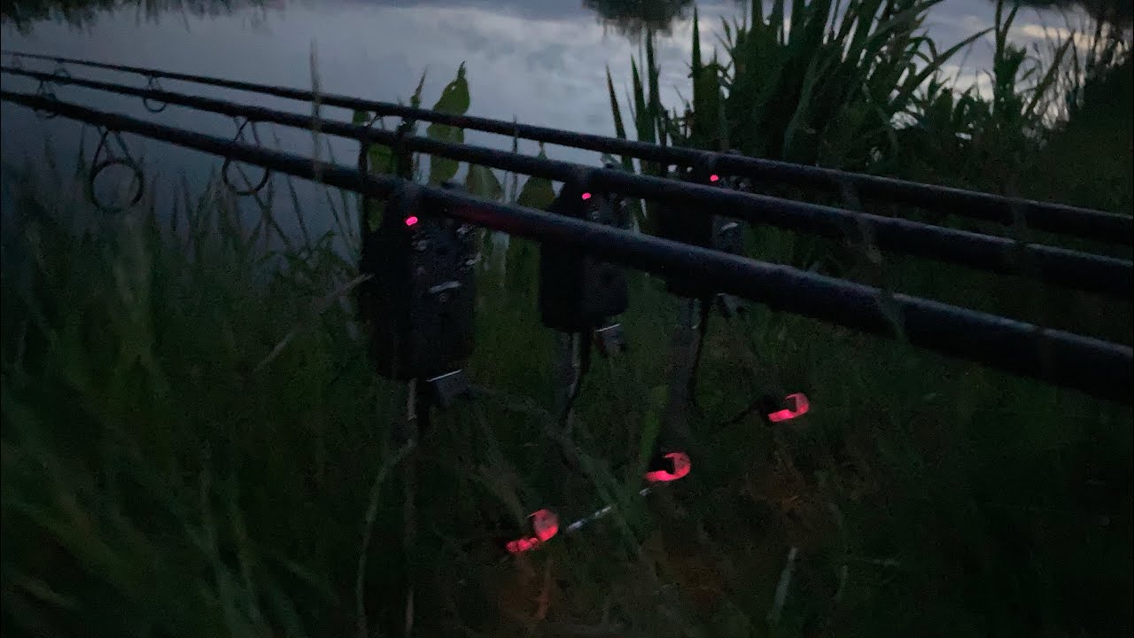 Mere Moor Fishery - Carp Fishing Specimen Lake Success