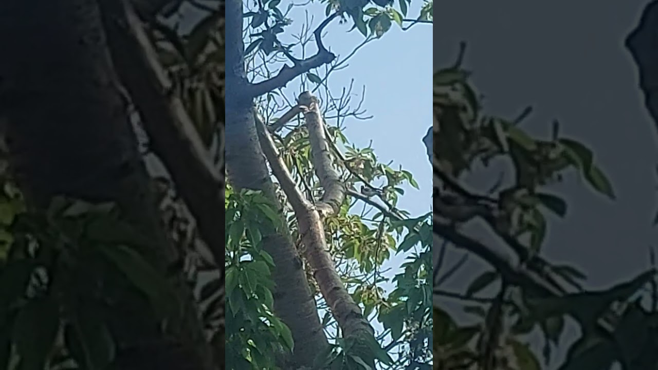 22 апреля 2024 г.