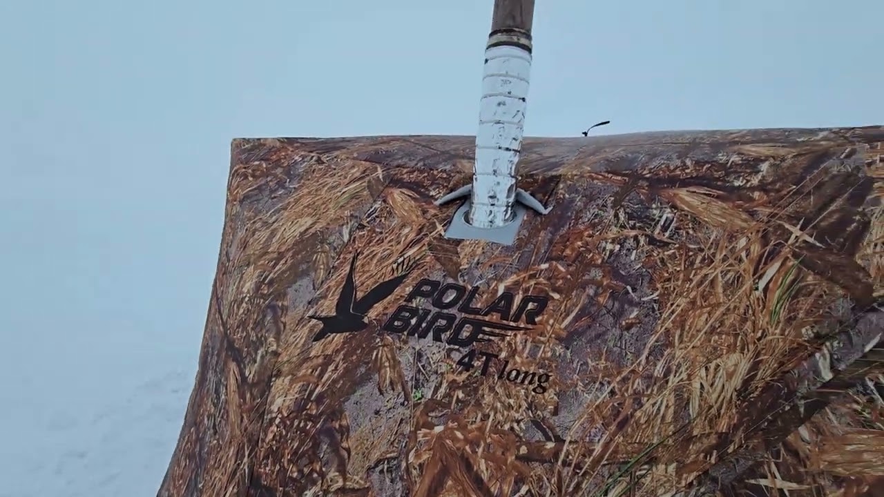 Небольшой обзор палатки( Polar Bird 4T Long).