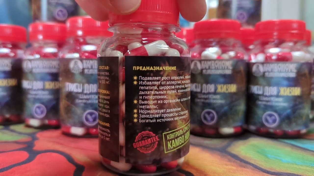 Грибы для жизни: Шиитаке (Lentinula Edodes)