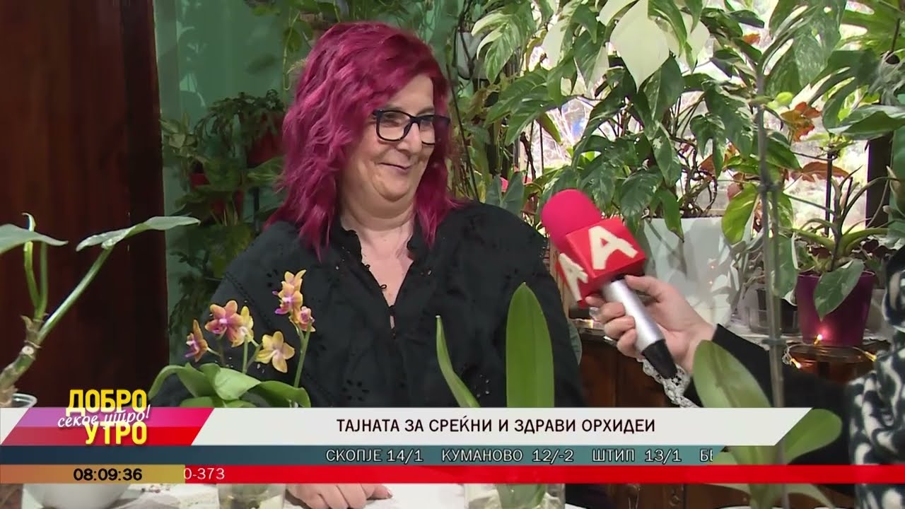 Тајната за среќни и здрави орхидеи