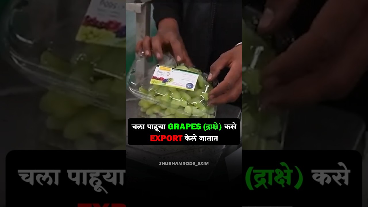 How to Export Grapes ❓.     #importexport