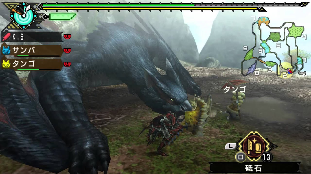 【PS3 MHP3】 リオレウス希少種狩猟 上位クエ★8_part3 乱入クエ