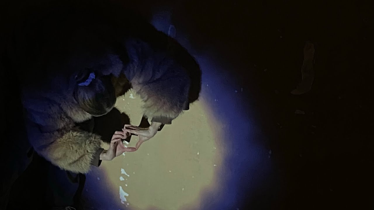 DIDYOUEVENLOVEME?&iquest; - Antea (Official Audio)