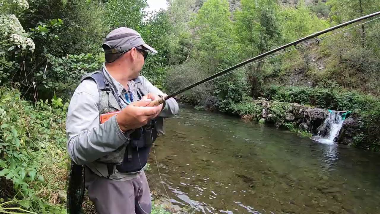 Pescando con Mosca en un pequeño río del Pirineo