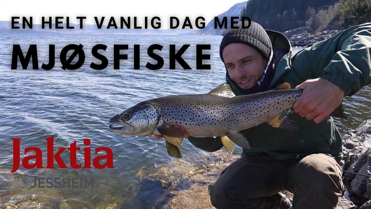 Fiske ørret fra land i Mjøsa - Bli med oss på en helt vanlig dag i april