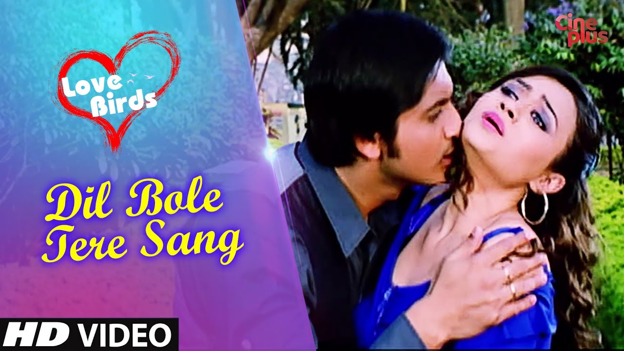 Dil Bole Tere Sang | New Hindi Song | Love Birds | Rishi, Suchandra