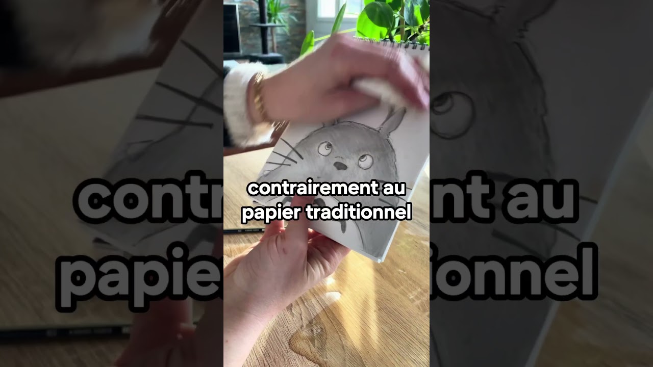 Le papier de pierre, caract&eacute;ristiques hors de commun, stimulateur de cr&eacute;ativit&eacute; 😍