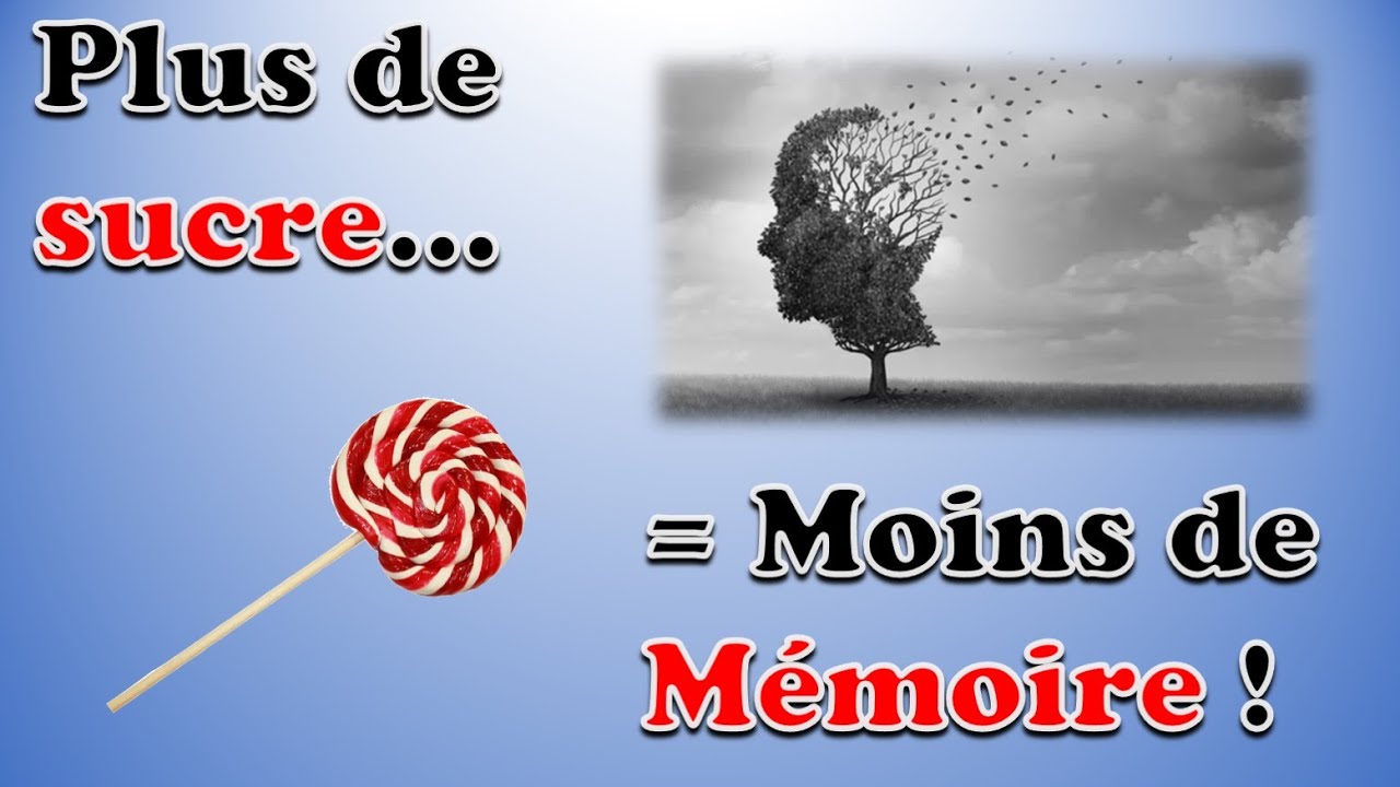 Plus de sucre = Moins de m&eacute;moire