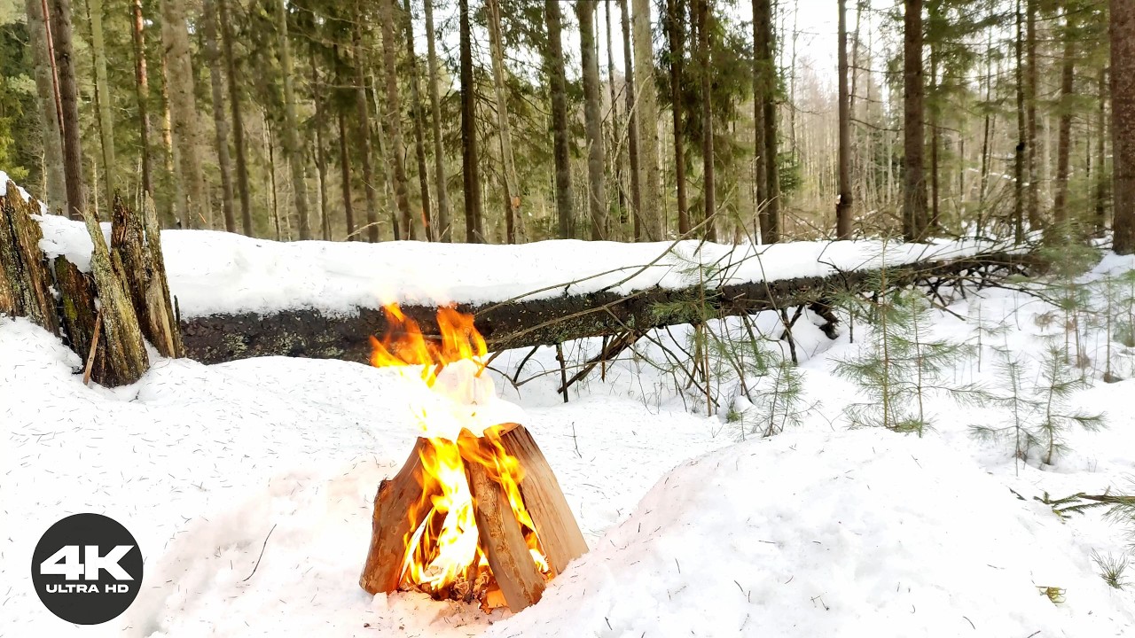 🌲 4K Snowy Forest Campfire | 3 Hours of Crackling Fire & Melting Snow Sounds (No AI)