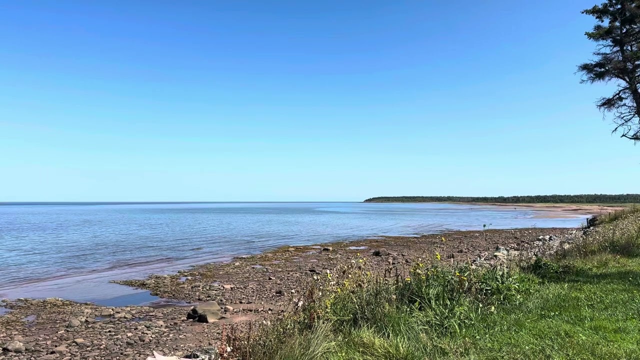 Malagash