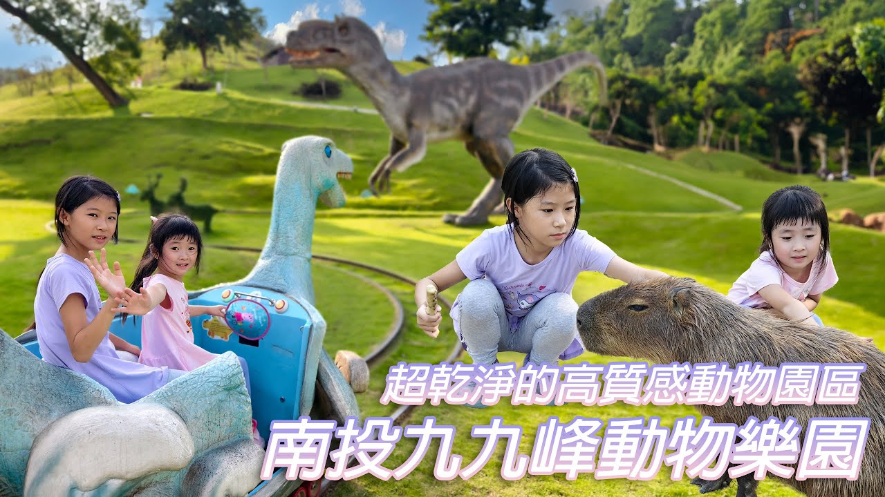 九九峰動物樂園 高質感超好拍的動物園 與動物零距離體驗 #osmopocket3  #VIVOX100ULTRA