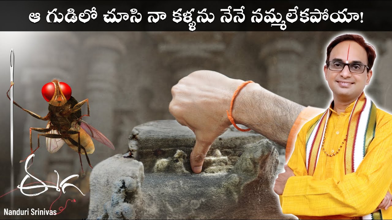 అక్కడ చూసి నా కళ్ళను నేనే నమ్మలేకపోయా | Astonished seeing them at Pushpagiri | Nanduri Srinivas