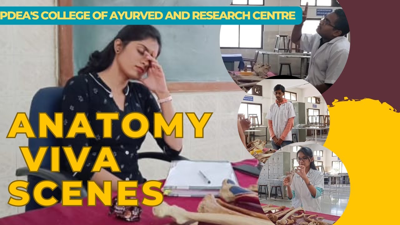 ANATOMY VIVA SCENES