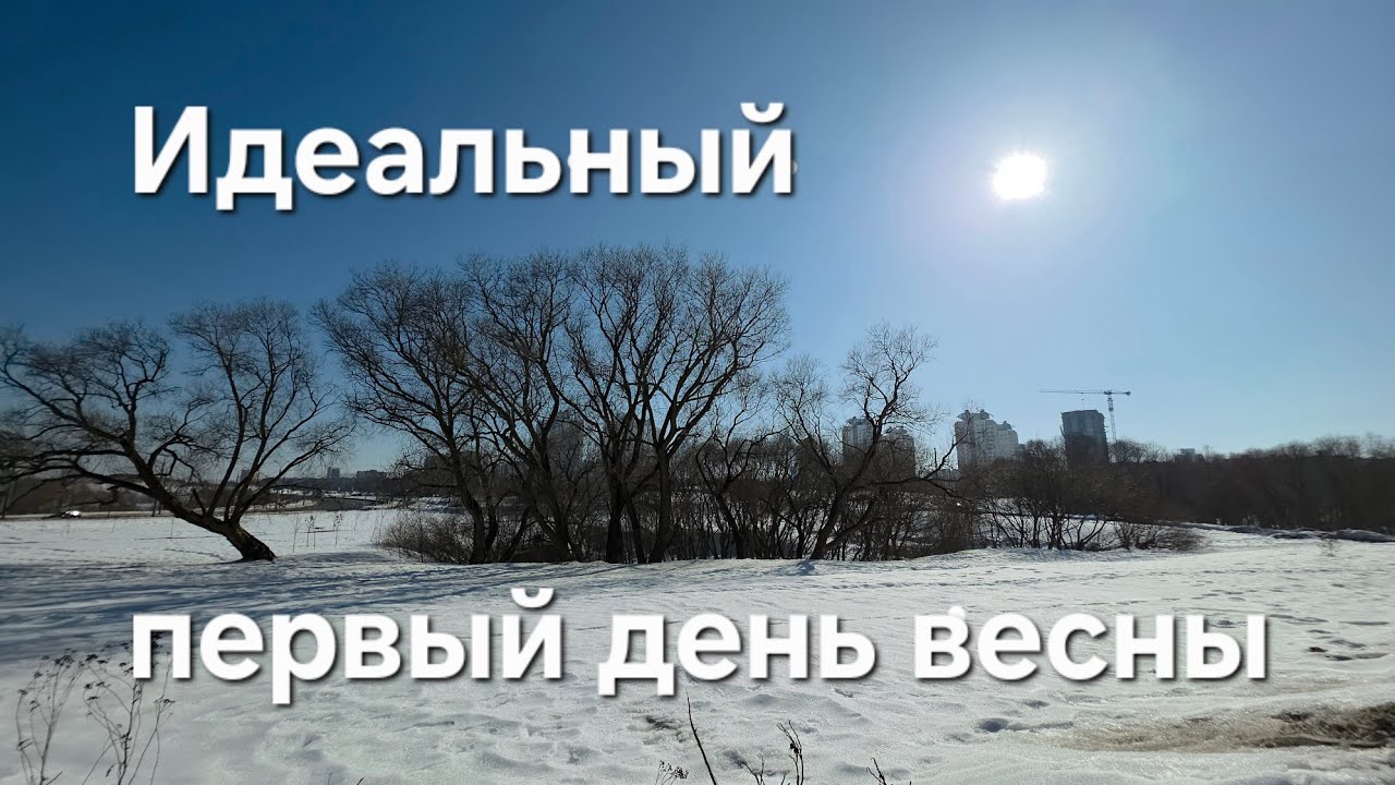 43. Идеальный первый день весны 2026. Птицы поют, ручьи журчвт, солнце греет. Минск 2026.