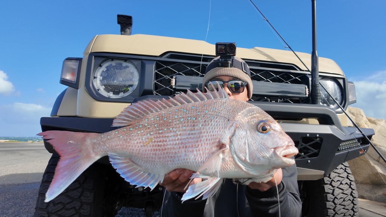 “On The Quest For Perth’s Finest Winter Species!” | Perth Pink Snapper Fishing