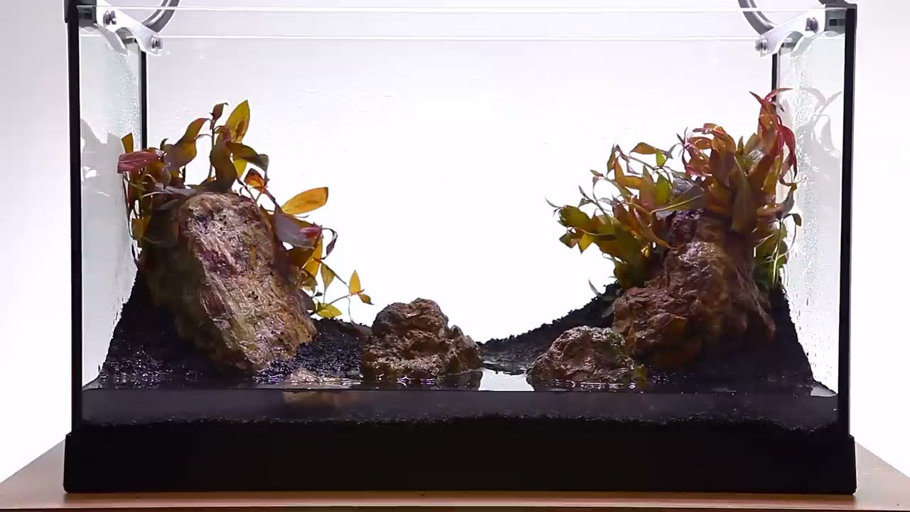 Layout 67 by Dan Crawford