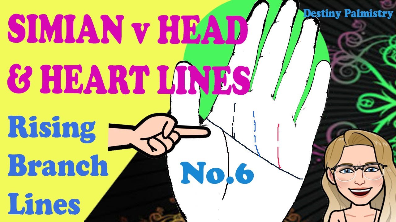 Simian Line v Head and Heart Lines and Rising Branch Lines