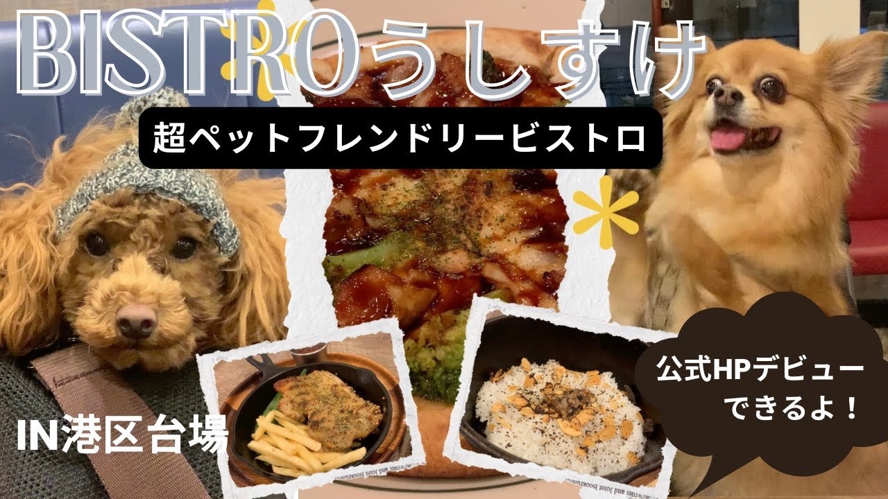 【店内ワンコOK！】港区お台場・愛犬家なら一度は行くべき聖地「ビストロうしすけ」が最高すぎた！