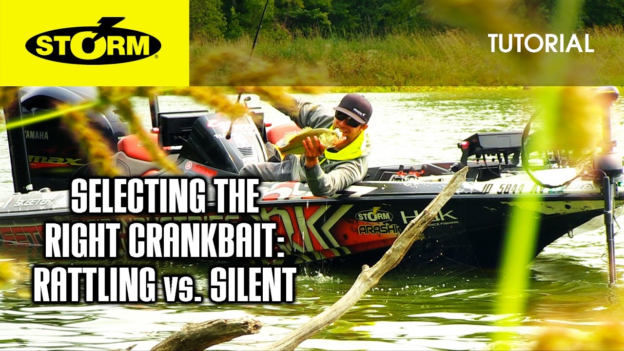 Rattling vs. Silent Crankbaits: HOW TO FISH