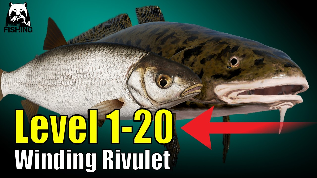 Level 1-20 Silver and XP! - Russian Fishing 4 - Winding Rivulet Floatfishing RF4 Start Guide