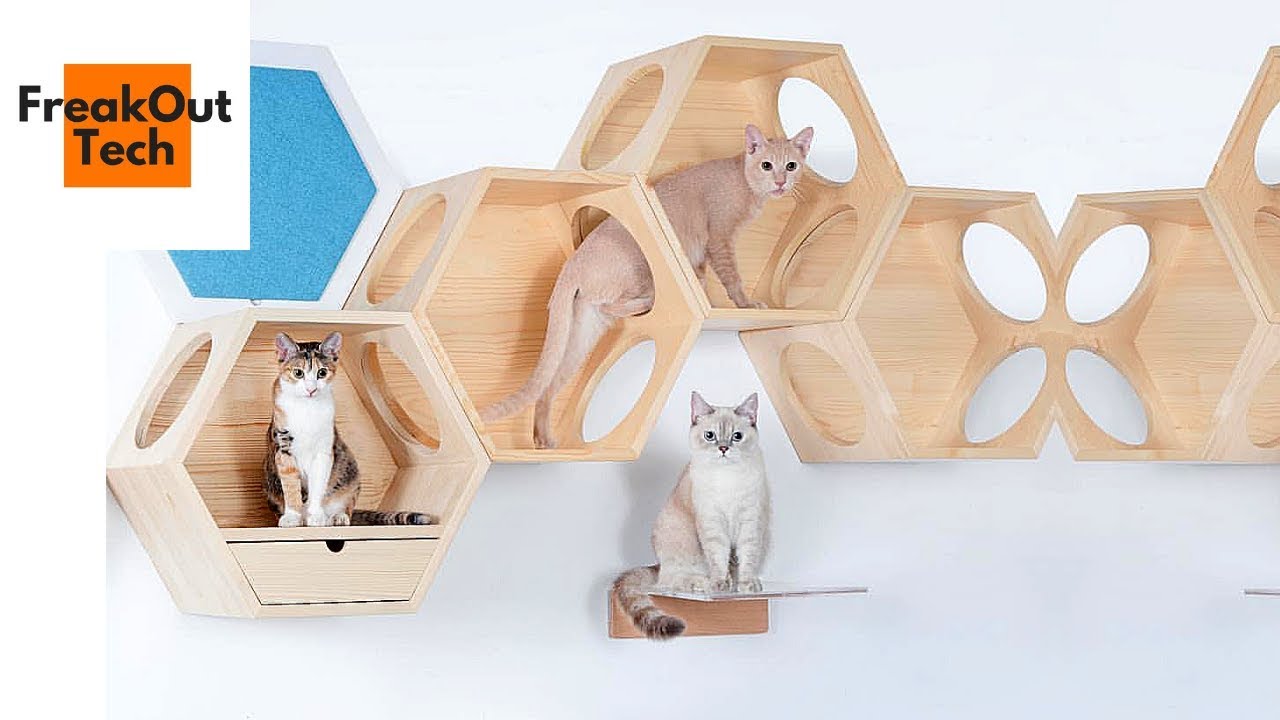5 Awesome Cat Gadgets You Will Love