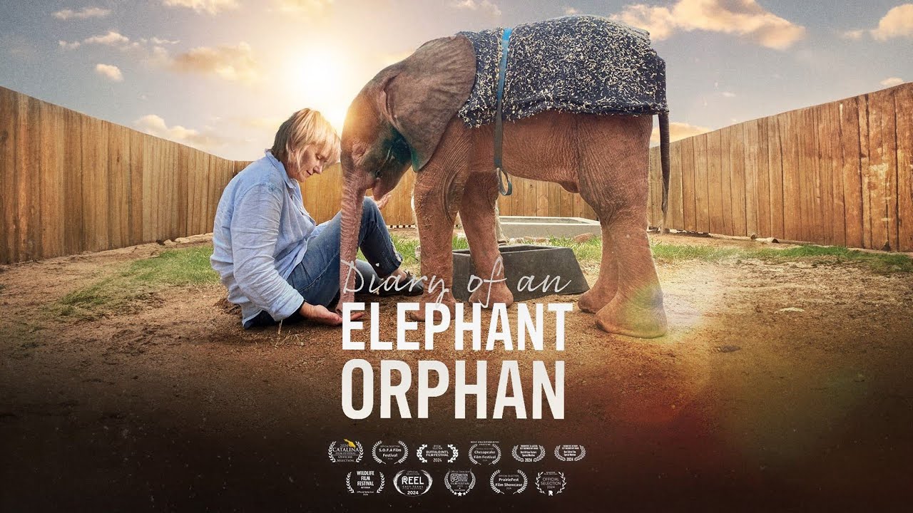 DIARY OF AN ELEPHANT ORPHAN