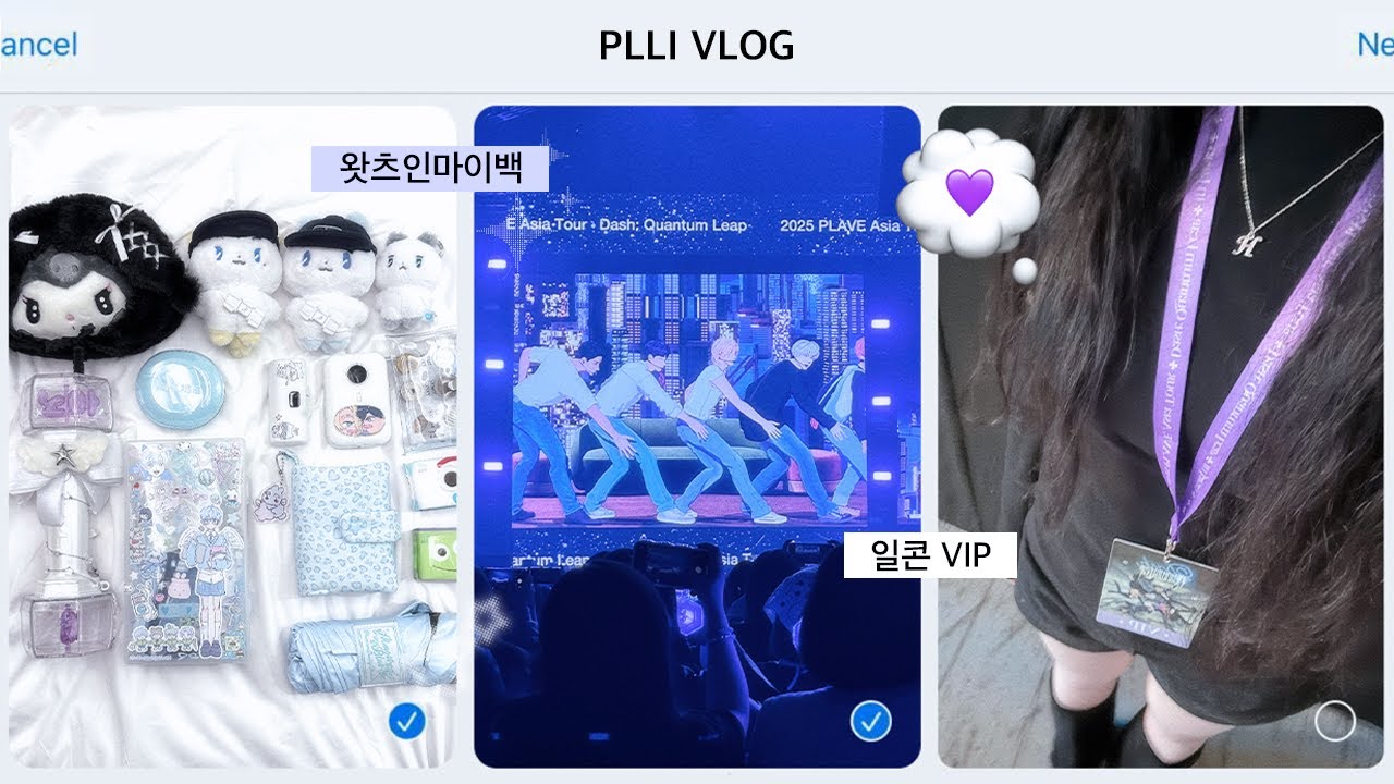 [플리로그] 플레이브가 너무 보고 싶어서 일본 감໒꒱⋆*ㅣPLAVE Asia Tour in Japan • 플레이브 일본 콘서트 • VIP석 토크 이벤트 • 왓츠인마이백